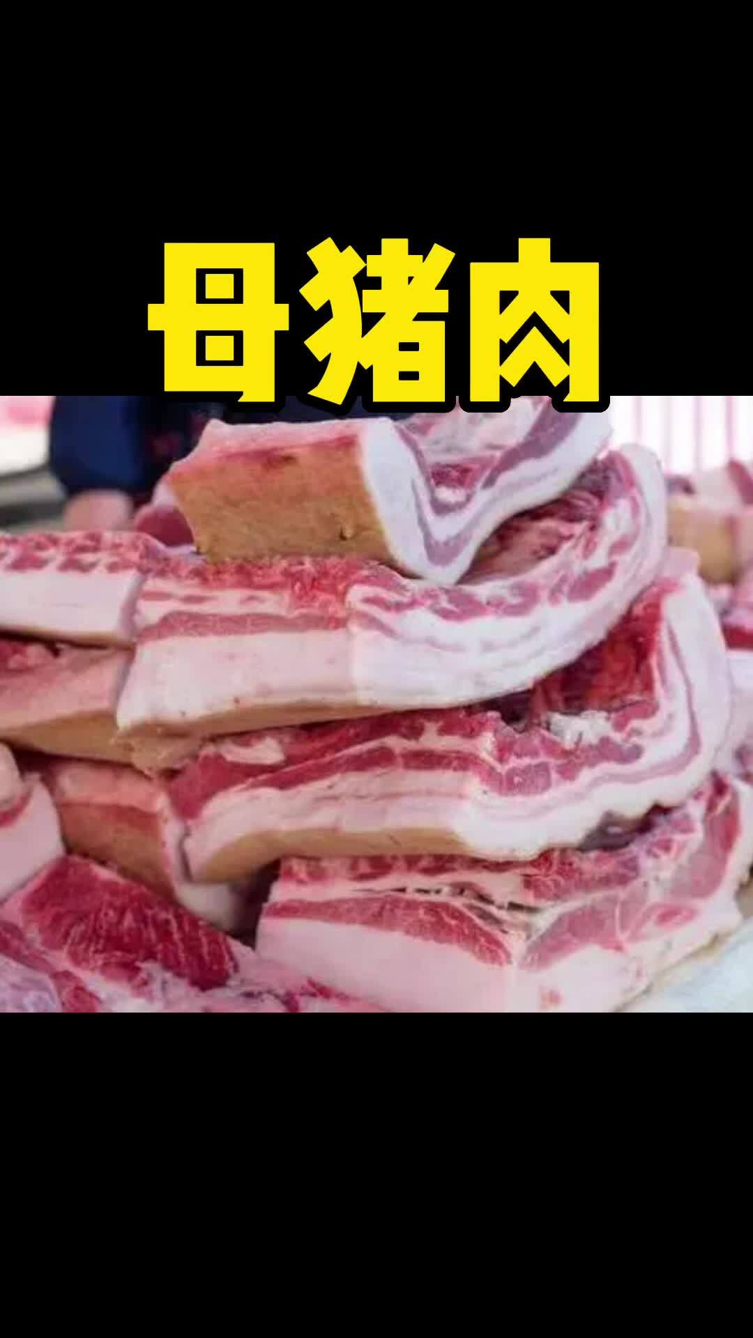 1母猪肉