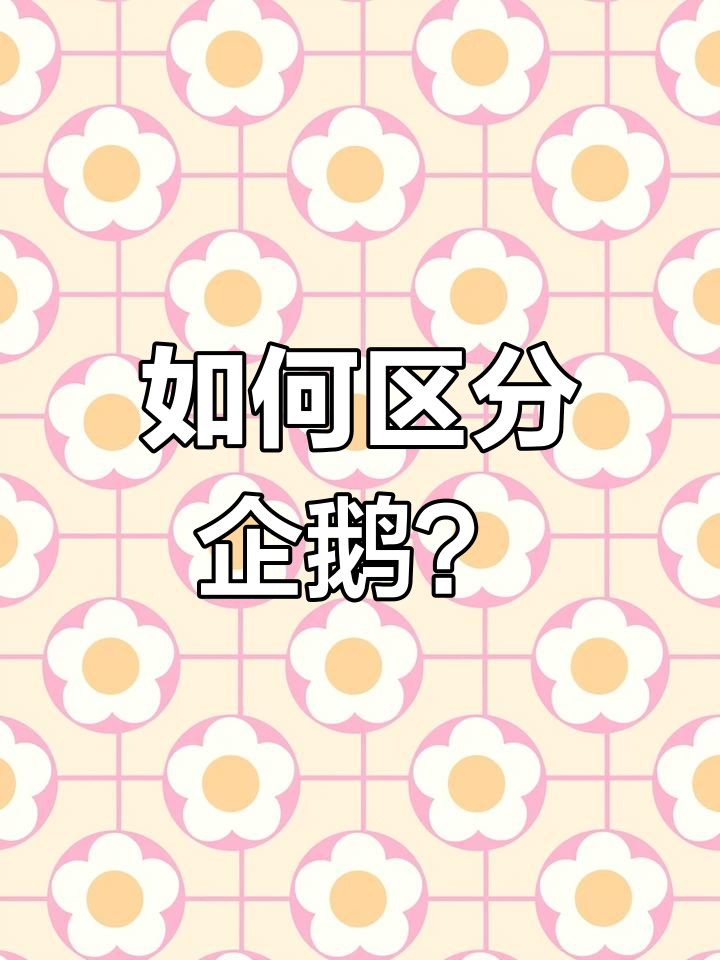 企鹅种类大揭秘,竟然有这么多不同!