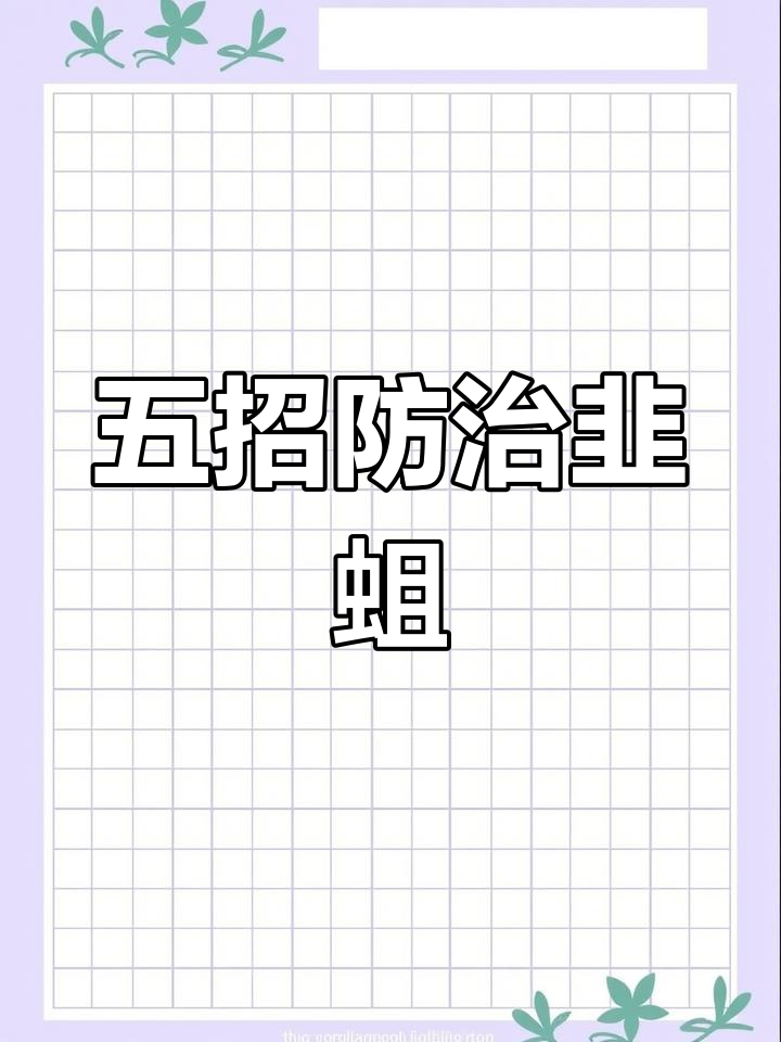 韭菜种植五大防虫措施,轻松避免韭蛆危害