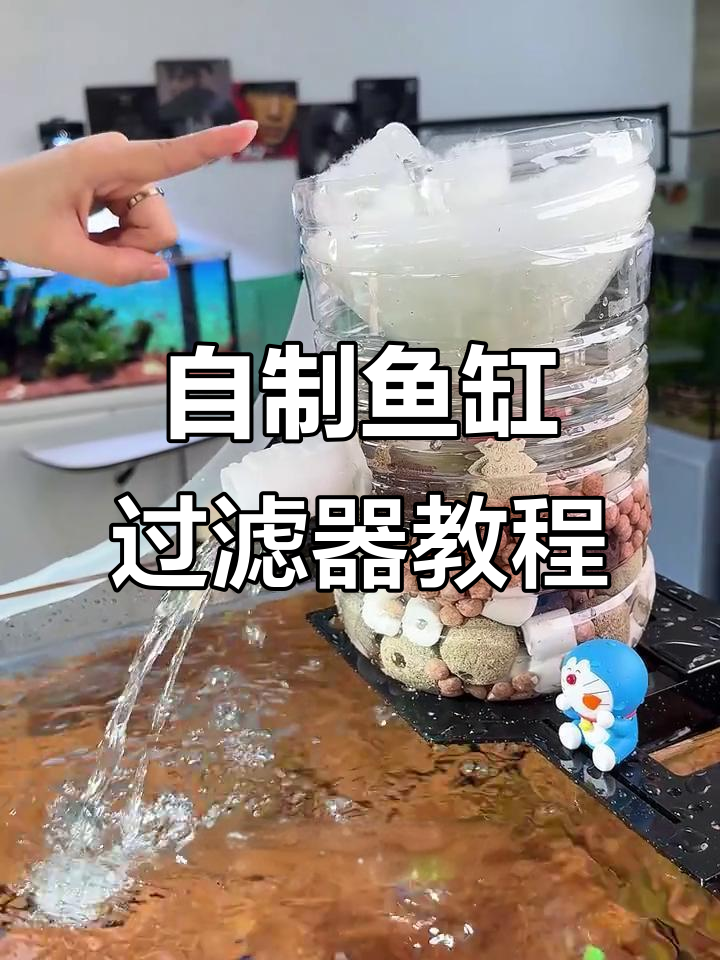 利用废旧瓶子DIY鱼缸过滤系统,省钱又高效!