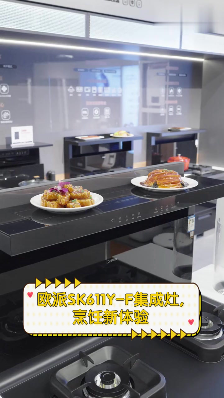 欧派SK611Y-F集成灶,烹饪新体验