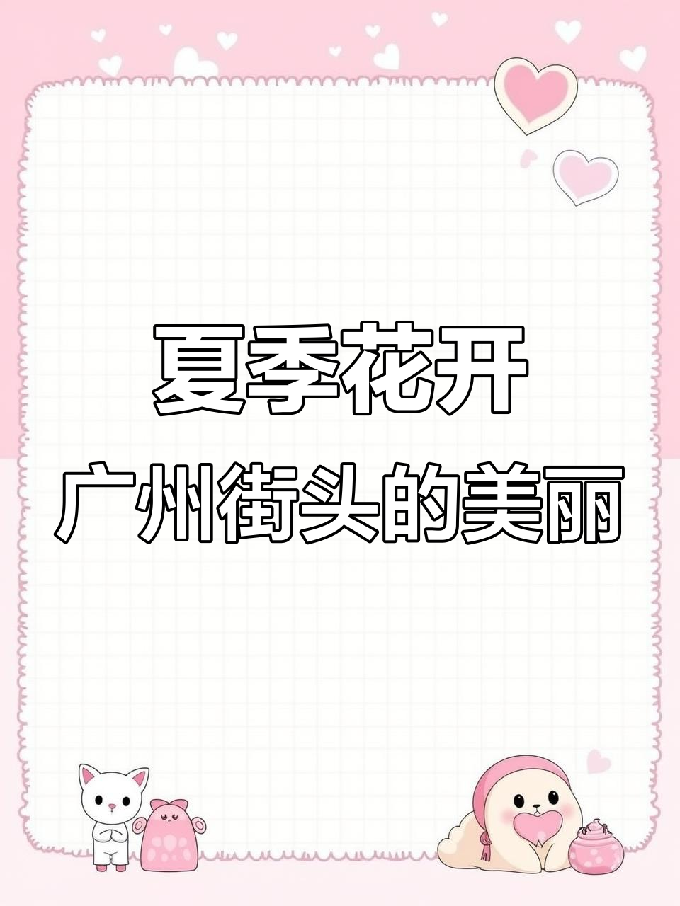 广州街头鱼木花盛开,夏日气息悄然来临