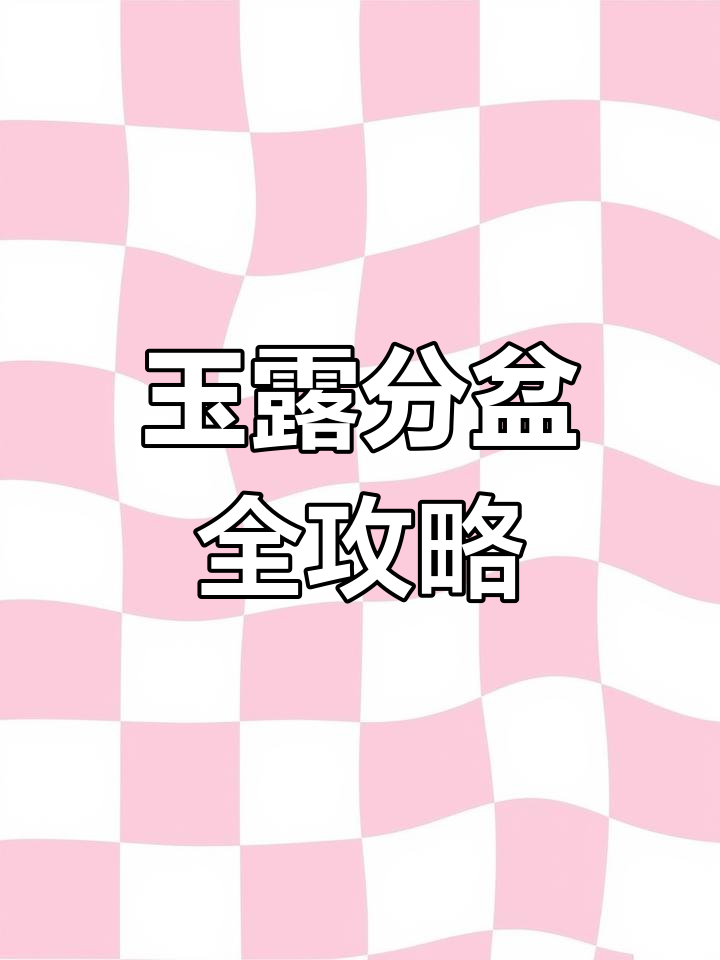 玉露分盆技巧大公开,如何轻松养护多肉植物