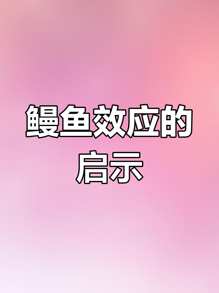 鳗鱼效应:竞争与挑战成就成功,生活中的智慧法则