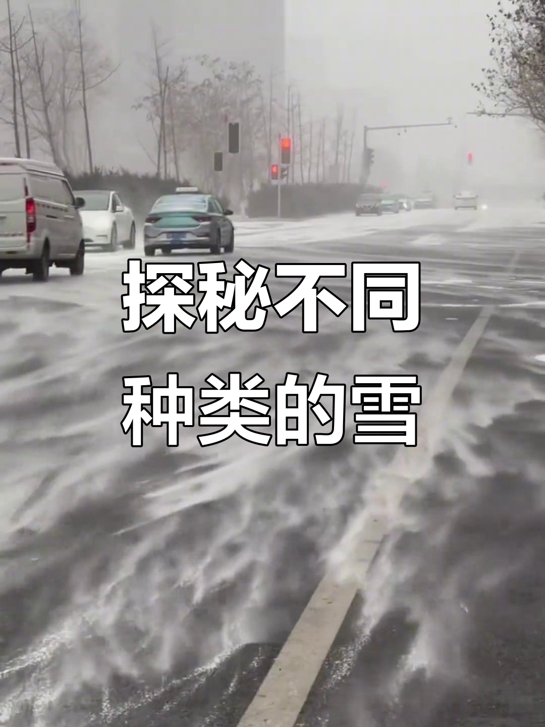 雪的奇妙世界:从积雪到脆皮巧克力,了解各种雪花形态