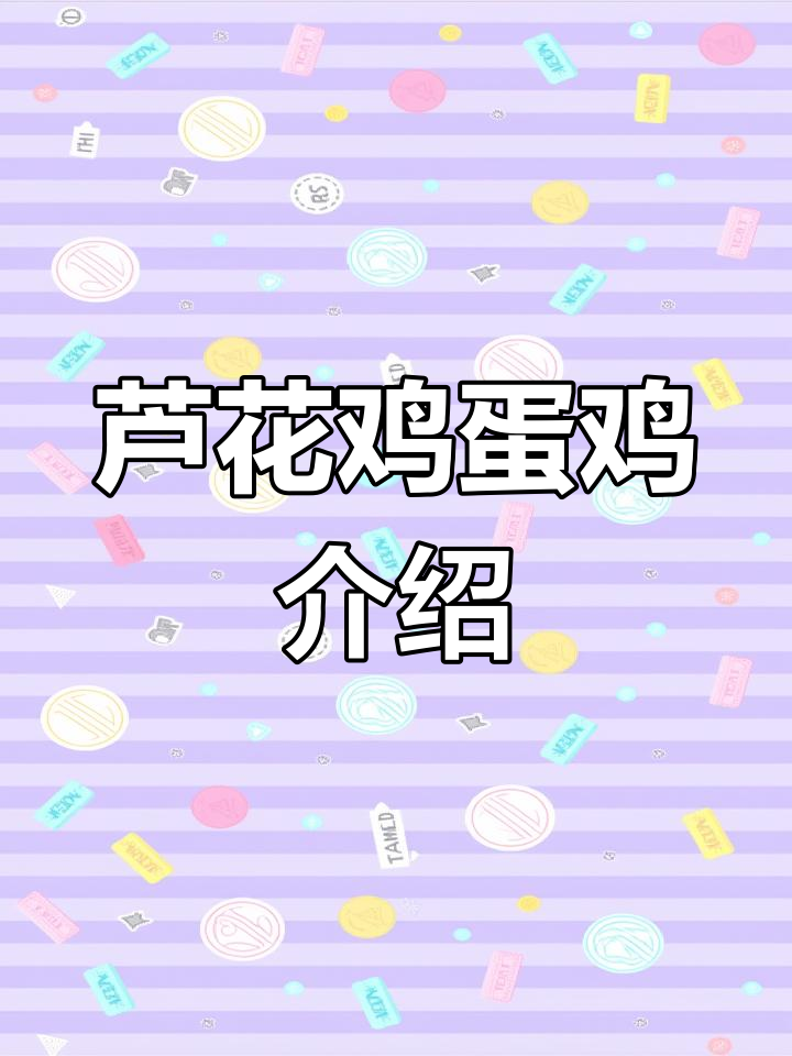 延边绿壳蛋鸡养殖揭秘