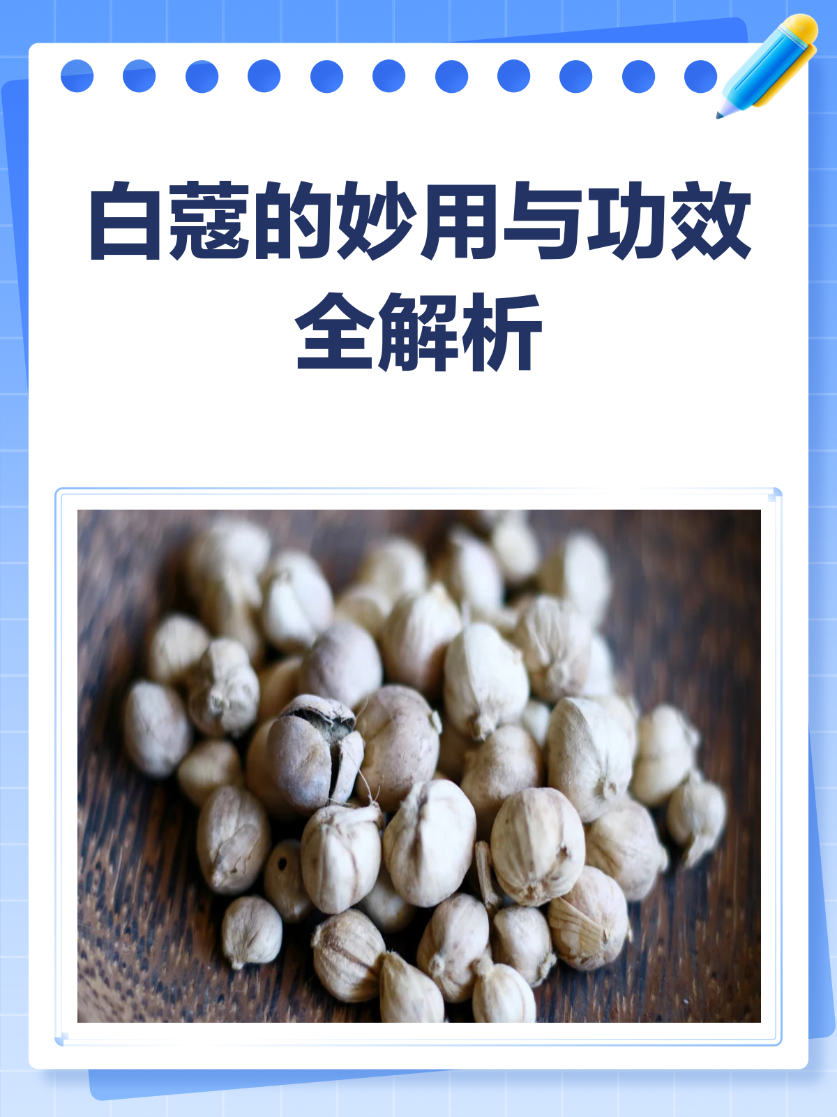 白蔻:了解这味中草药的别名、功效与作用