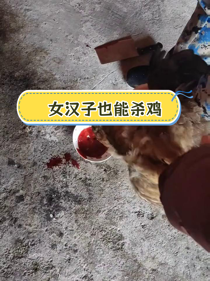 敢杀鸡的女人,明天更可怕!