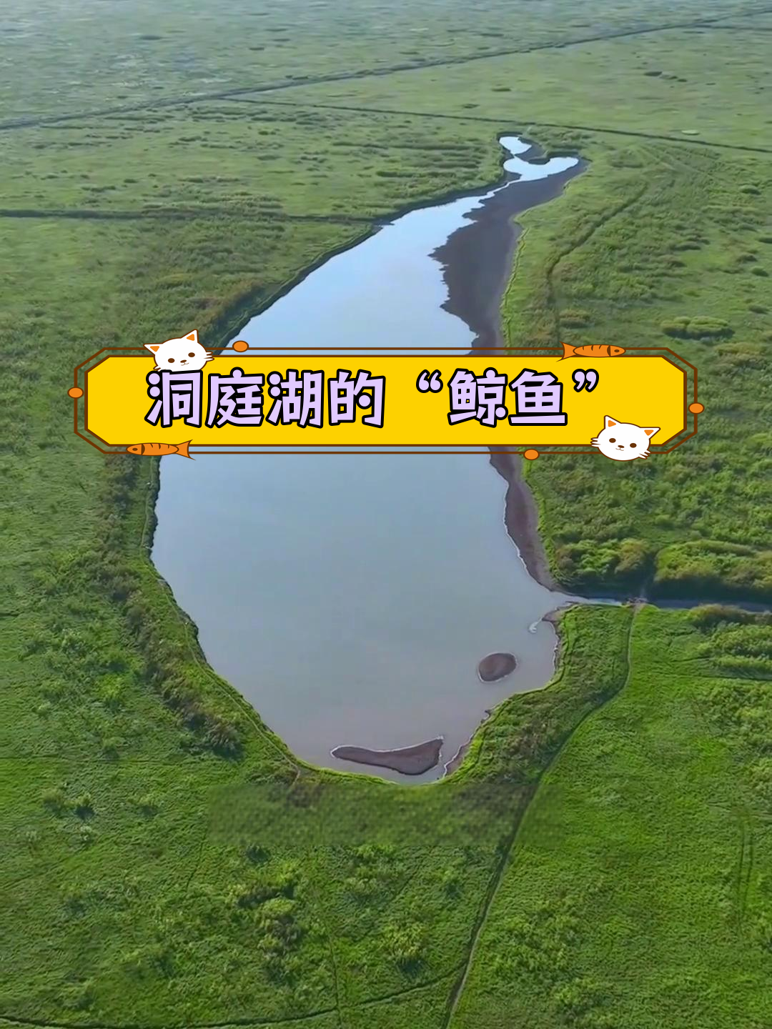 洞庭湖现神秘“鲸鱼”现象,寓意何在?