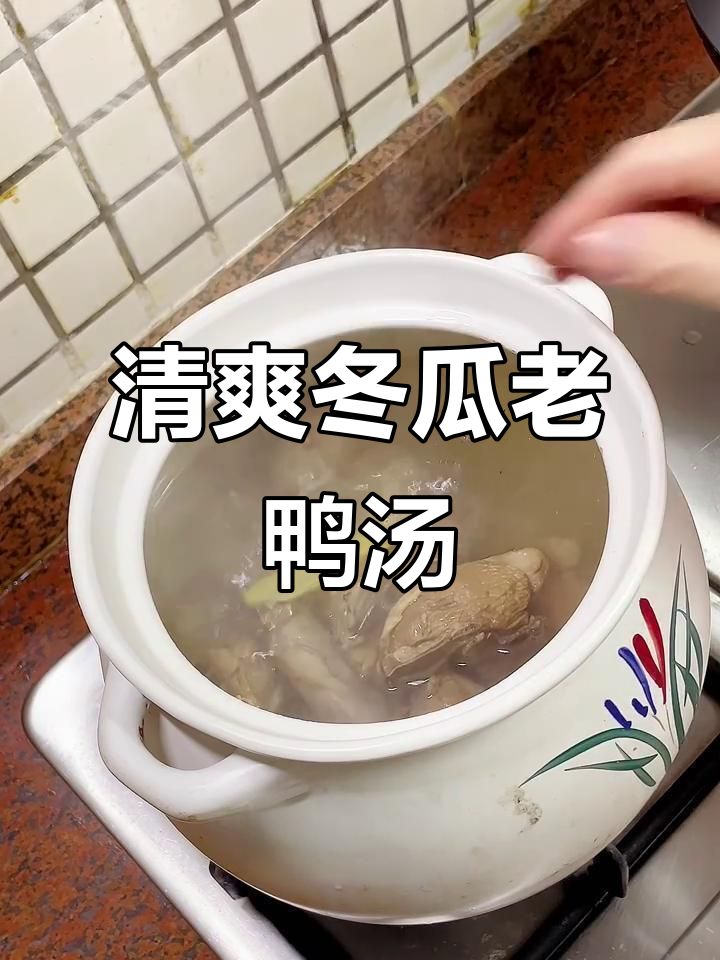 冬瓜老鸭汤,清热解暑的绝佳选择