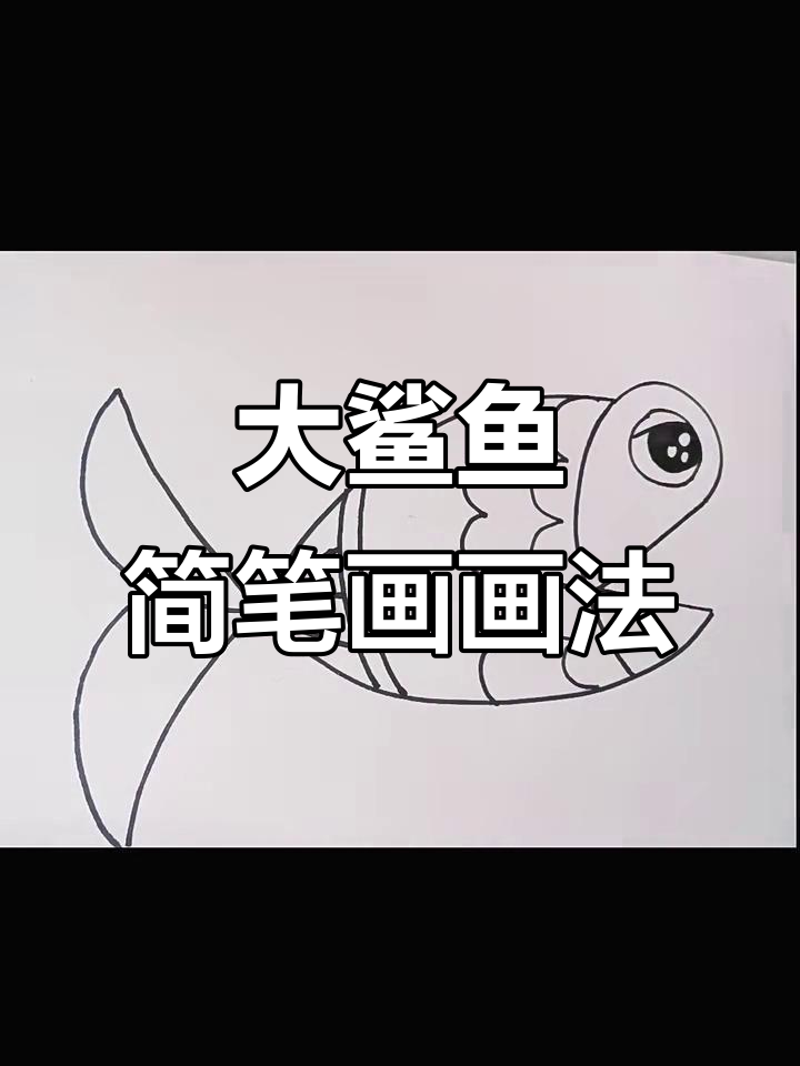 创意符号简笔画：大鲨鱼来袭，画出海底霸主