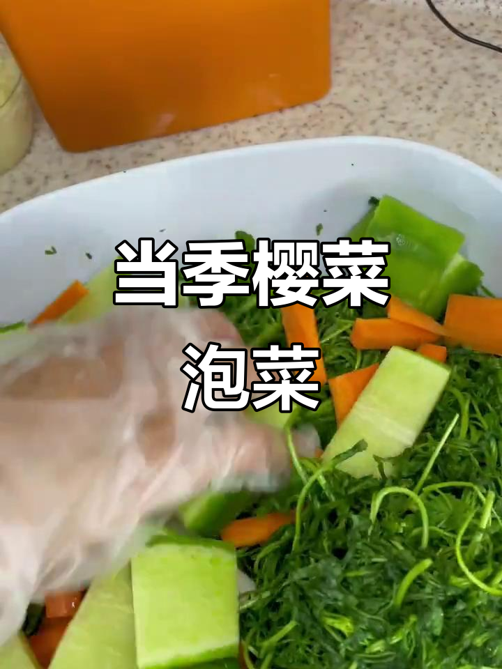 新鲜当季食材，樱菜泡菜的独特风味