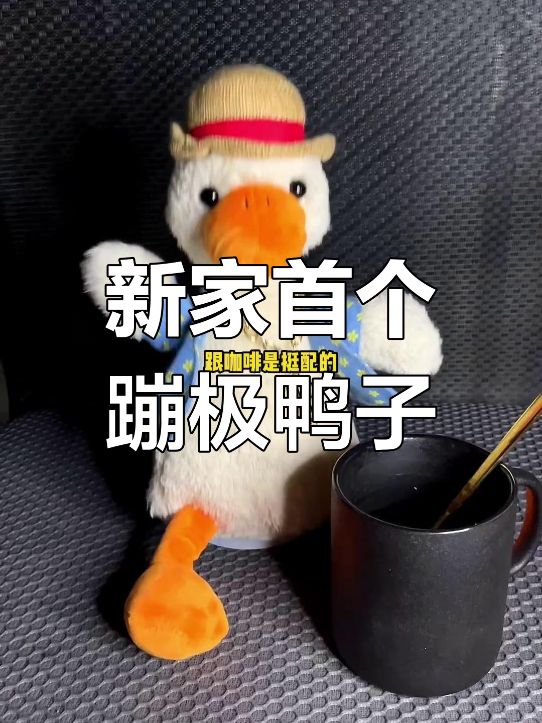 透明壁纸与阳台美景的完美搭配