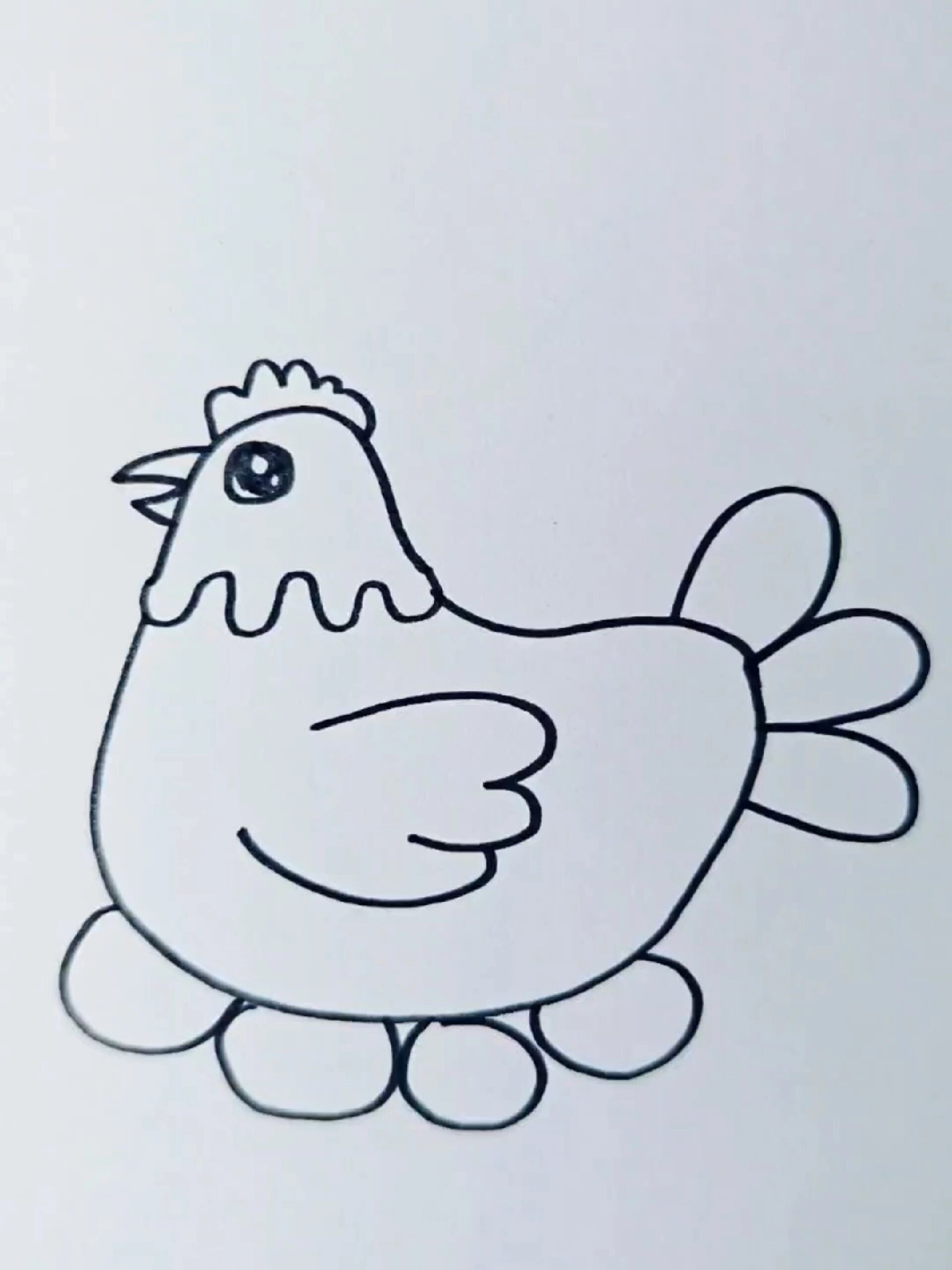 母鸡简笔画,一学就会!