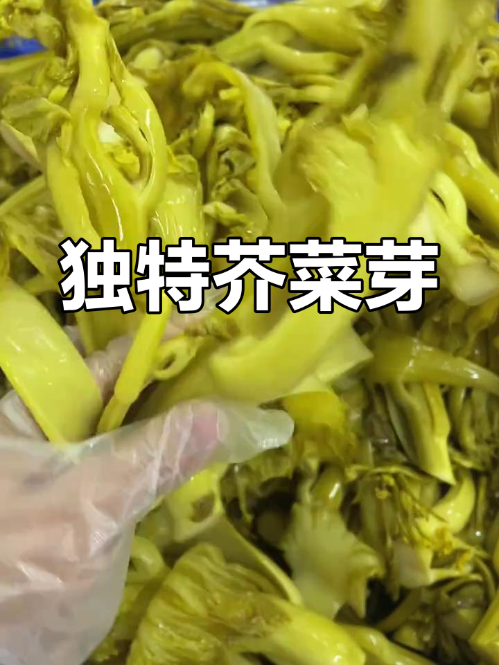 这种芥菜芽独特,每年仅一次生长,酸菜的绝佳原料!