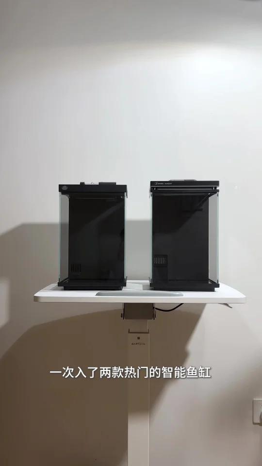 两款热门桌面智能小鱼缸开缸实测～