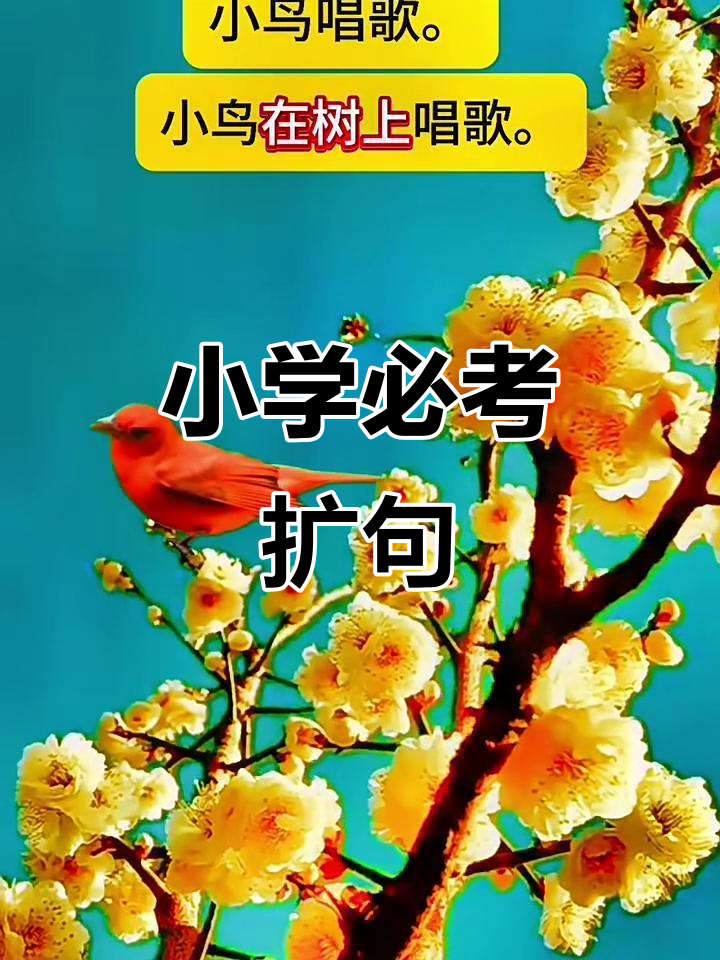 小动物们欢乐的一天,一年级扩句仿写练习