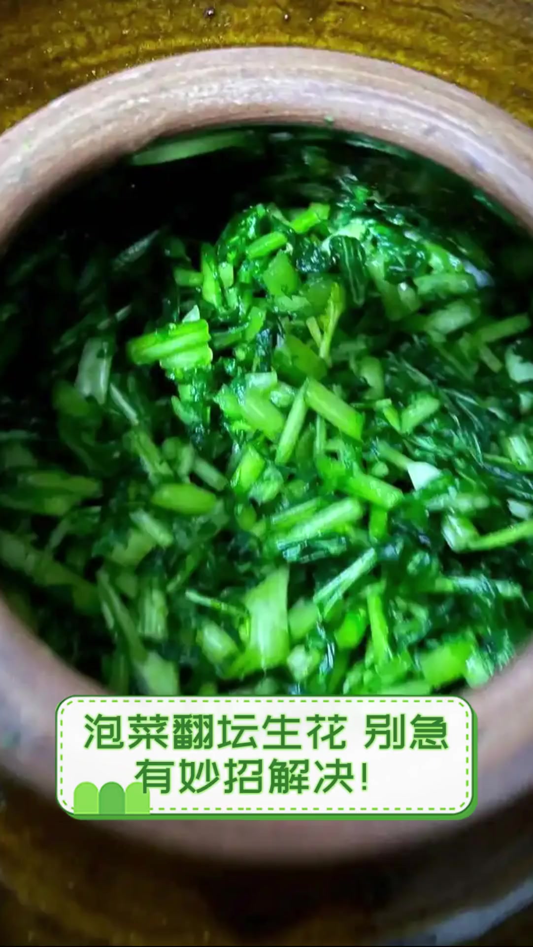 泡菜翻坛生花,别急,有妙招解决!