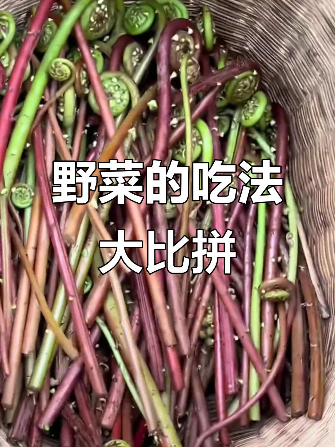 这种野菜,农村常见,你爱吃哪种做法?凉拌还是炒干呢?