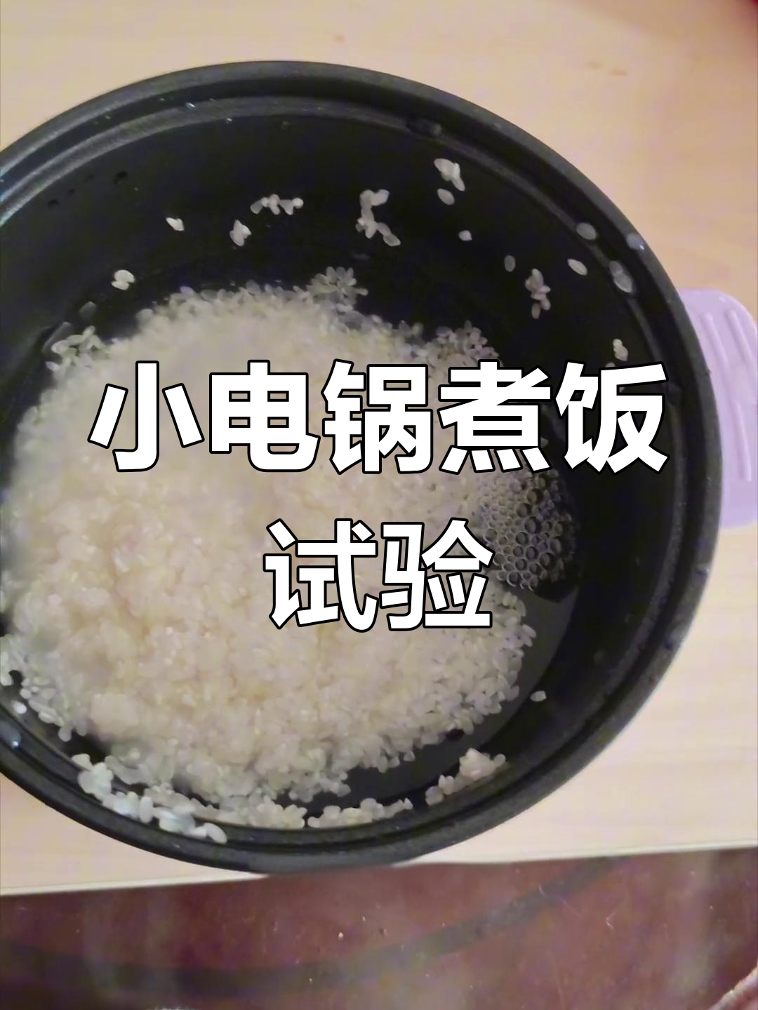 用小电锅煮米饭,竟然不糊!土豆发芽也能吃