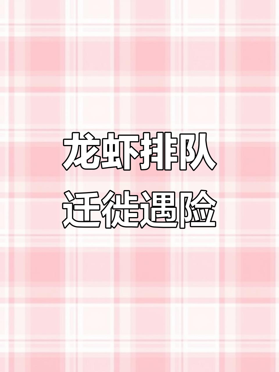 龙虾迁徙排队避敌,游灵豚鱼突袭捕食