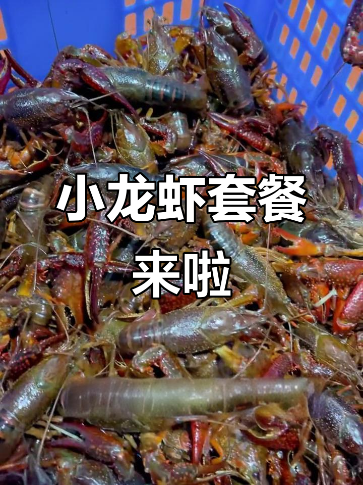 夏季小龙虾套餐,啤酒配拌面,快来试试!