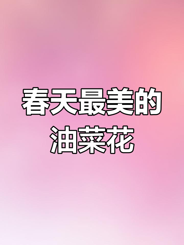 油菜花盛开,春天的最美文案也不过如此