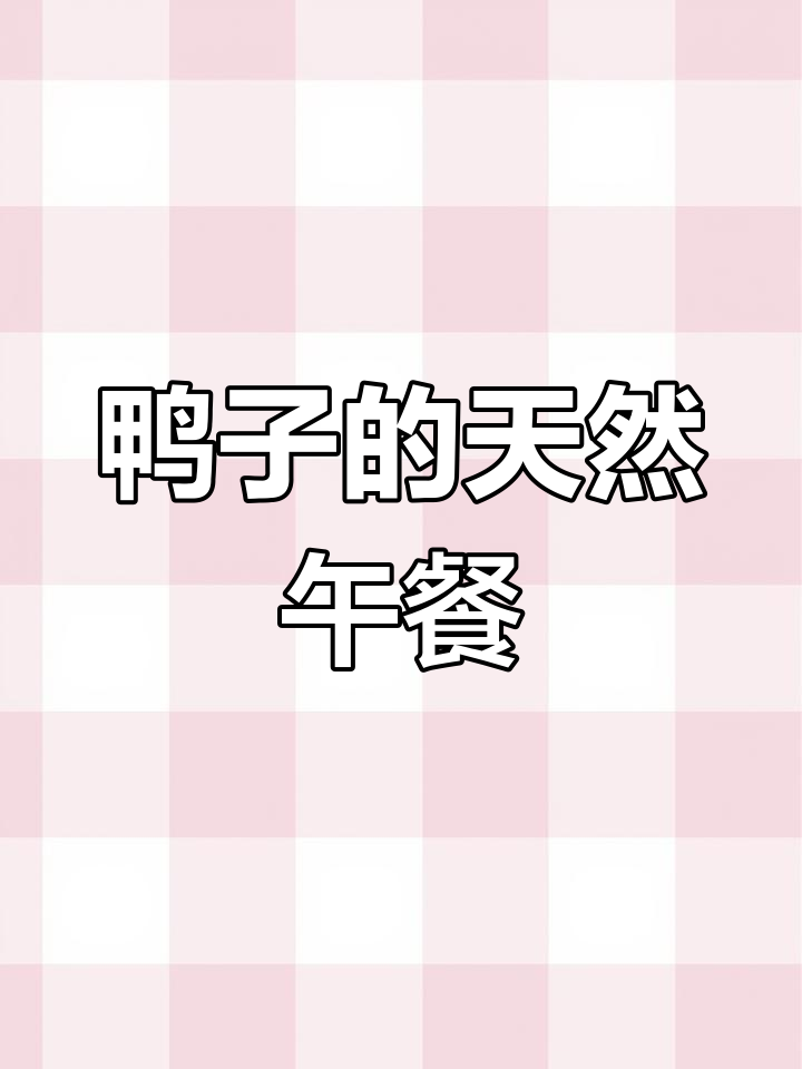 鸭子成河道清洁工,上游送来美味“开胃菜”!