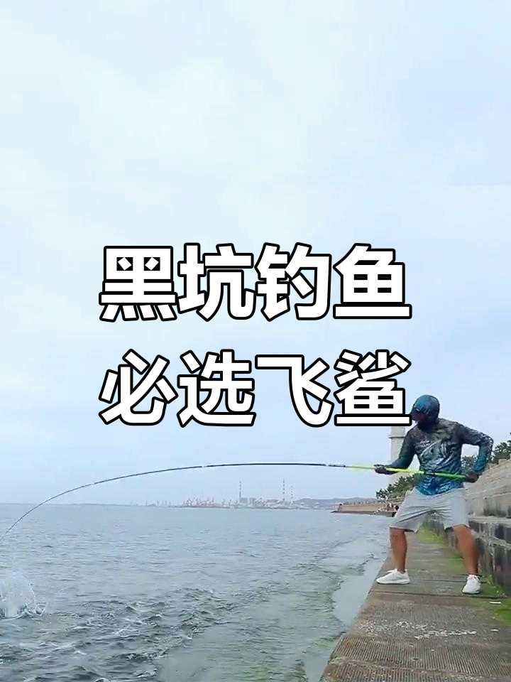 飞鲨钓鱼竿，黑坑野钓必备神器