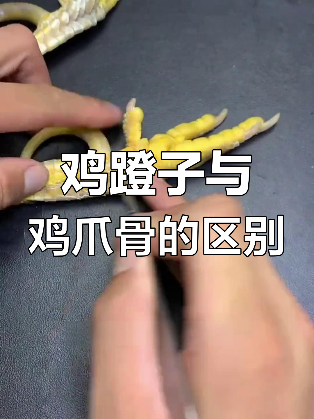 大公鸡的第五根脚趾,盘玩价值高