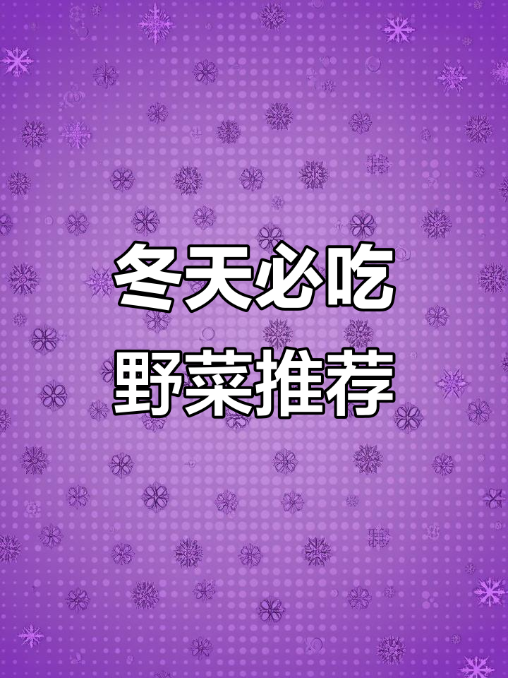 冬季野菜大揭秘:这些美味你尝过吗?