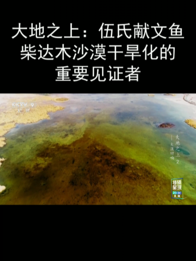 大地之上:伍氏献文鱼 柴达木沙漠干旱化的重要见证者