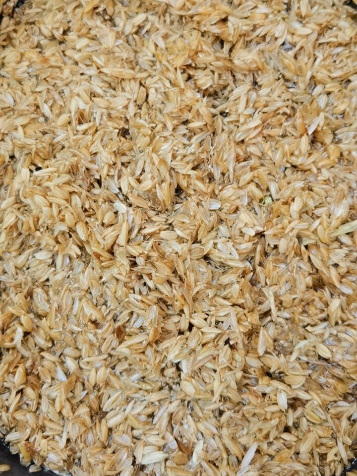 鸡蛋包装盒里的稻谷壳,发酵后拌土里种花草