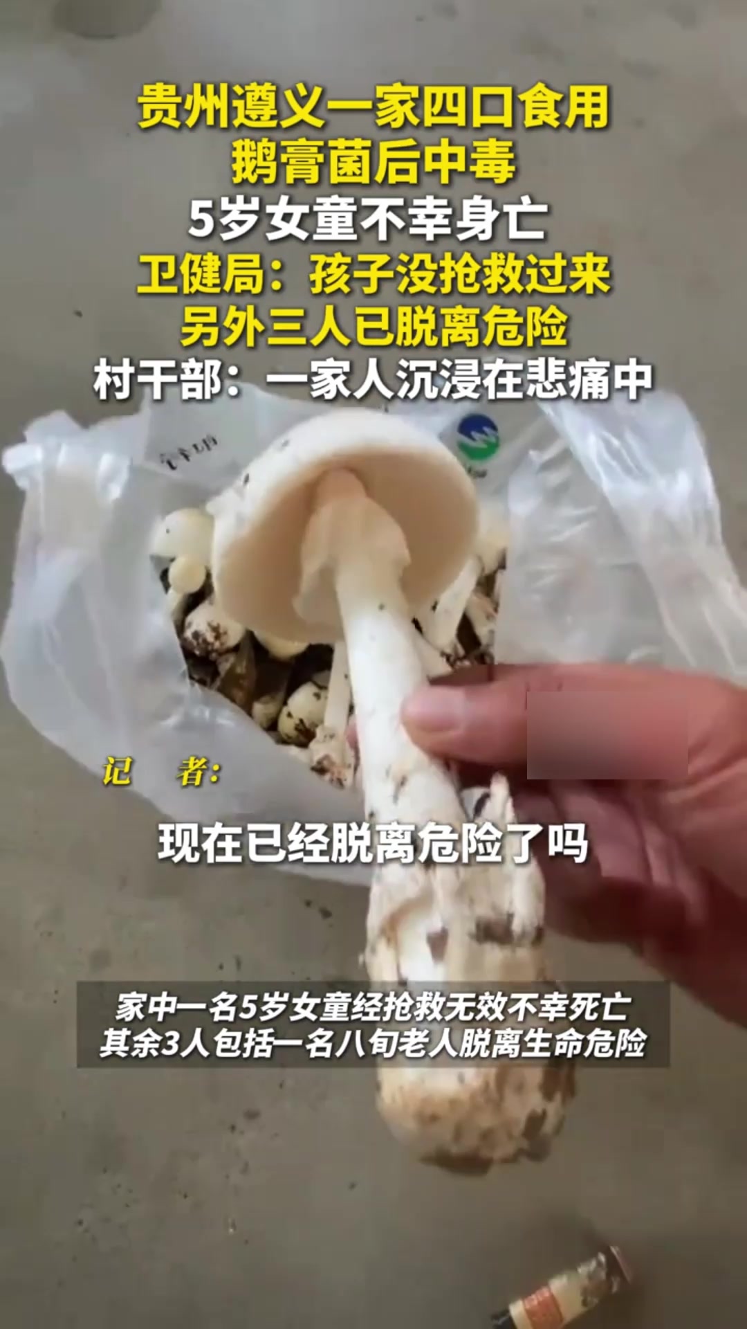 贵州遵义一家四口食用鹅膏菌后中毒，5岁女童不幸身亡，另外三人已脱离危险