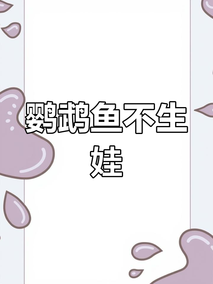 迷你鹦鹉鱼养了三个月,怎么还不产卵?喂食频率有讲究吗?