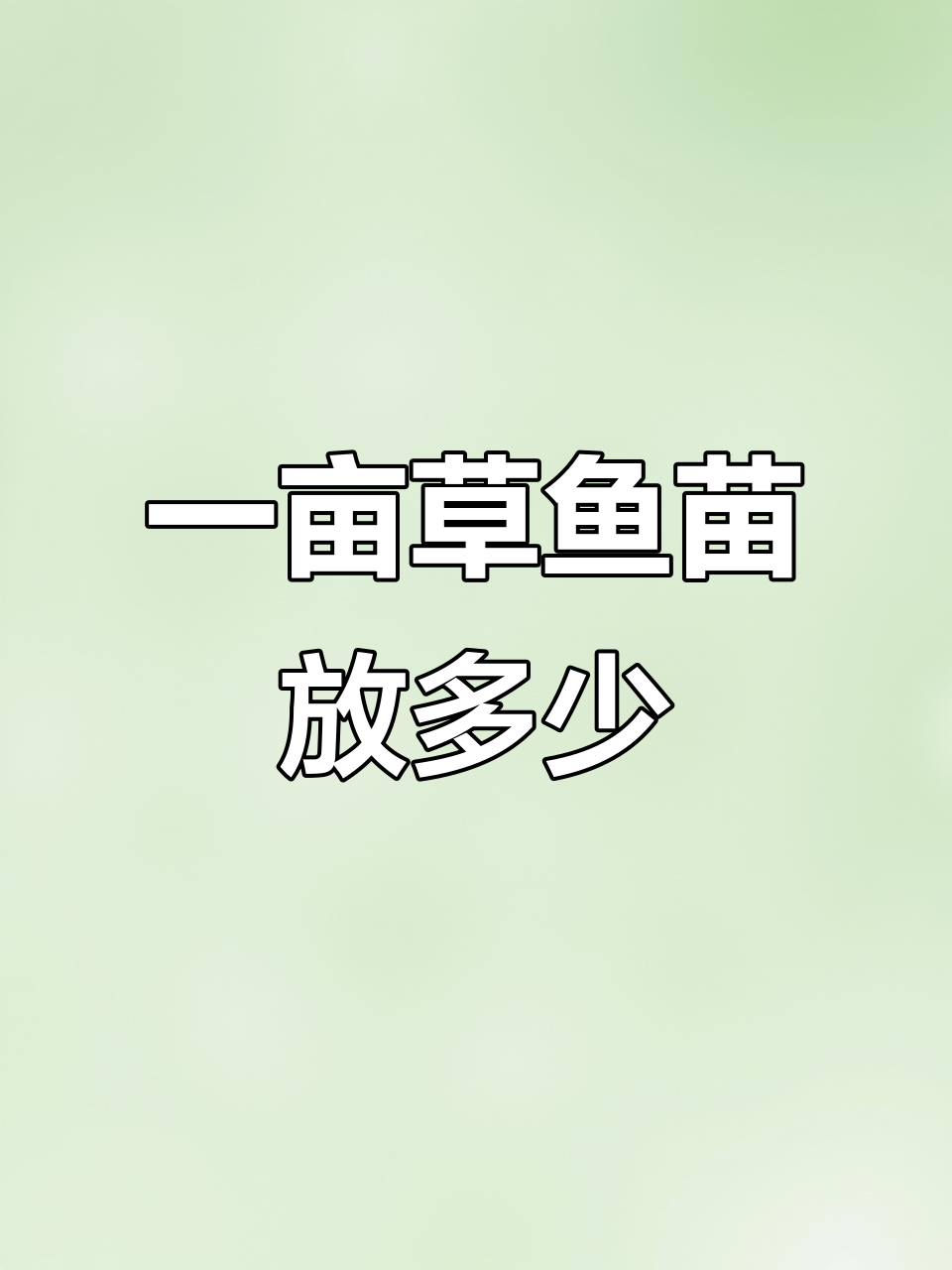 草鱼苗放养密度如何把控?一亩多少尾最合适