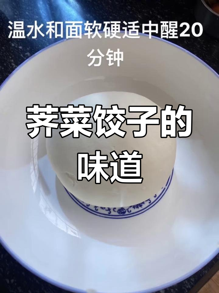 荠菜饺子,野菜的独特美味与平凡生活的热爱
