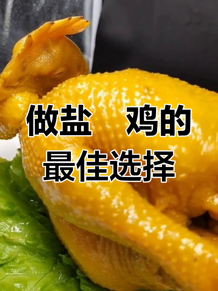盐焗鸡最实惠的选材指南,三黄鸡和小公鸡最佳