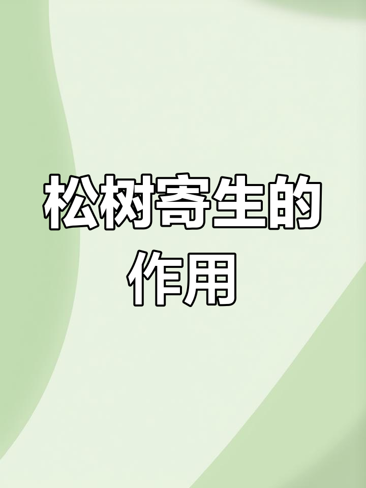 松树寄生功效解析