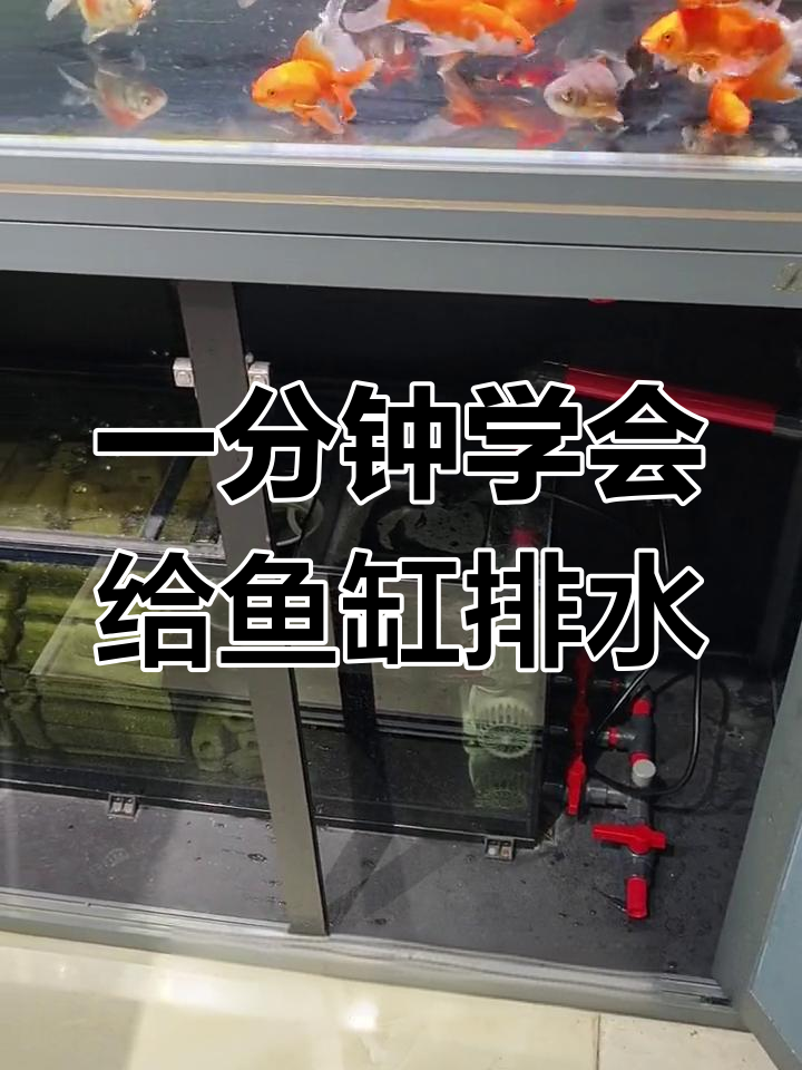鱼缸换水技巧:虹吸效应快速排水