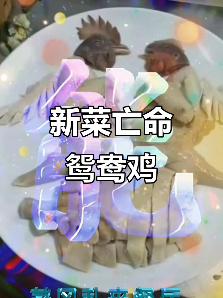 茅冈乱来餐厅新菜“亡命鸳鸯鸡”,味道让人怀念过去的美好时光