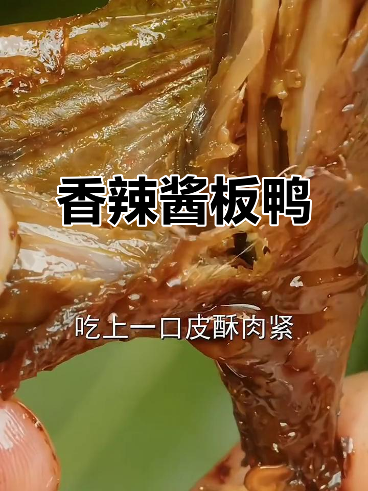 湖南酱板鸭,香辣十足,吃一次就停不下来!