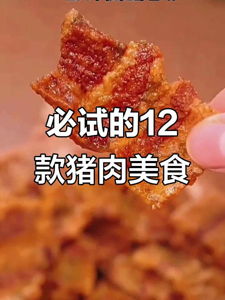 12种超好吃的猪肉做法,外酥里嫩,最后一道吃到停不下来