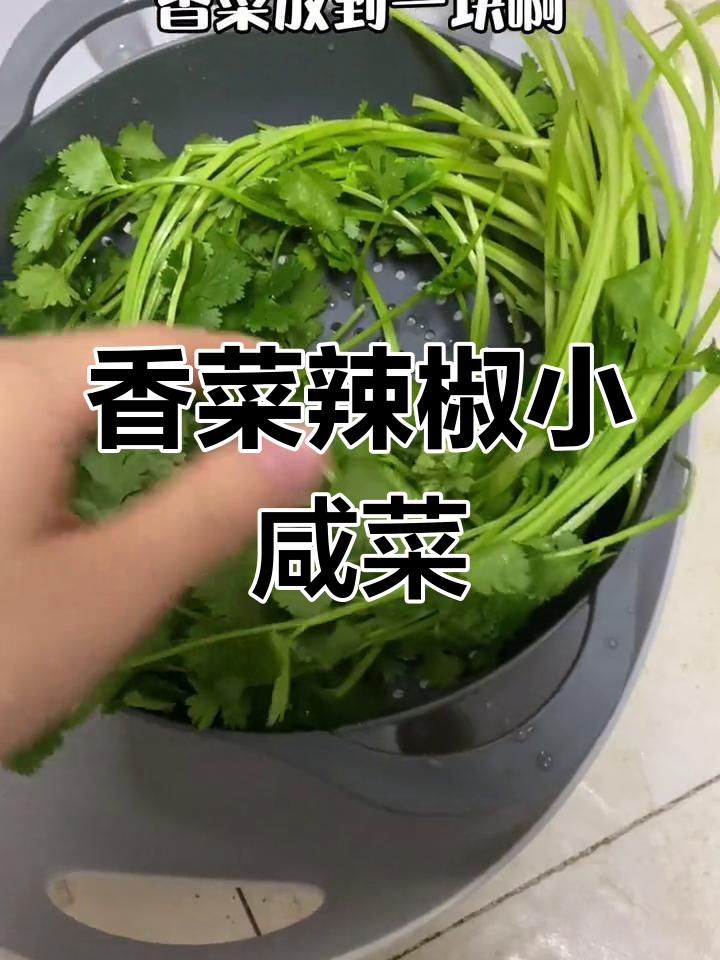 如何让蔫香菜焕发新生,白米粥必备小咸菜教程