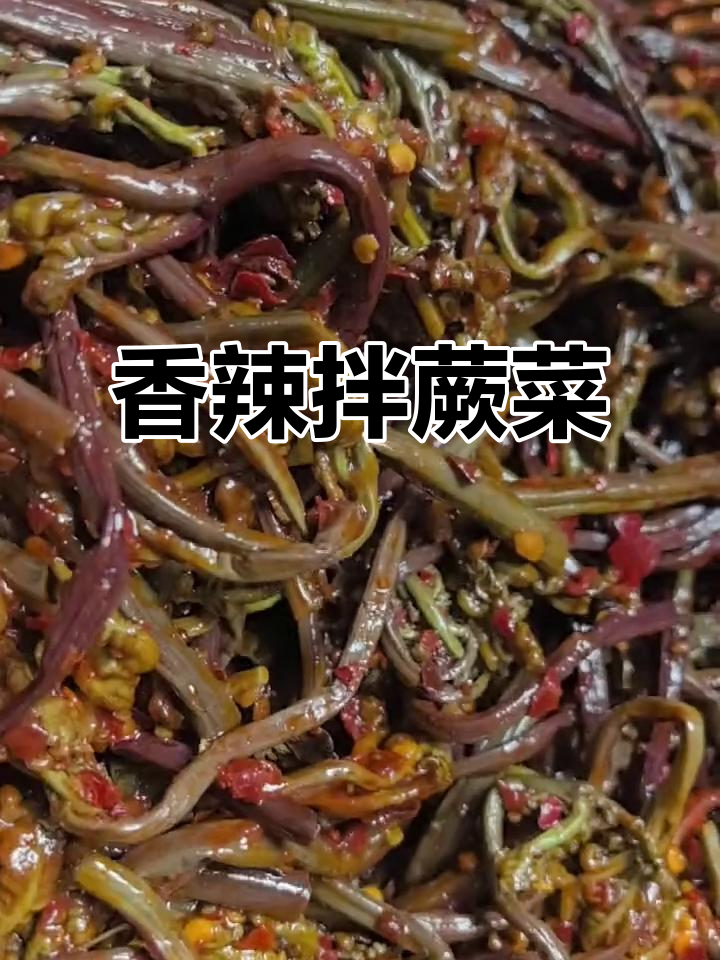 东北朝鲜族香辣拌蕨菜，配饭下酒必备美味小咸菜
