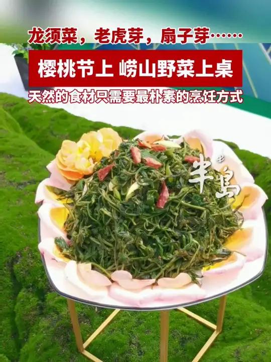 龙须菜、老虎芽、扇子芽……樱桃节上,崂山野菜上桌 青岛樱桃节(半岛全媒体记者:刘雪莲 编辑
