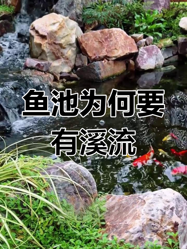 为什么生态鱼池需要溪流过渡?这些好处你知道吗