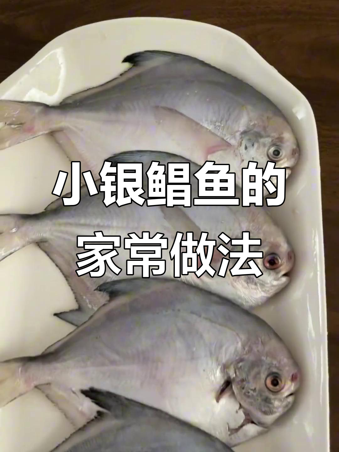 象山野生小银鲳鱼,鲜嫩美味蒸煮做法大揭秘