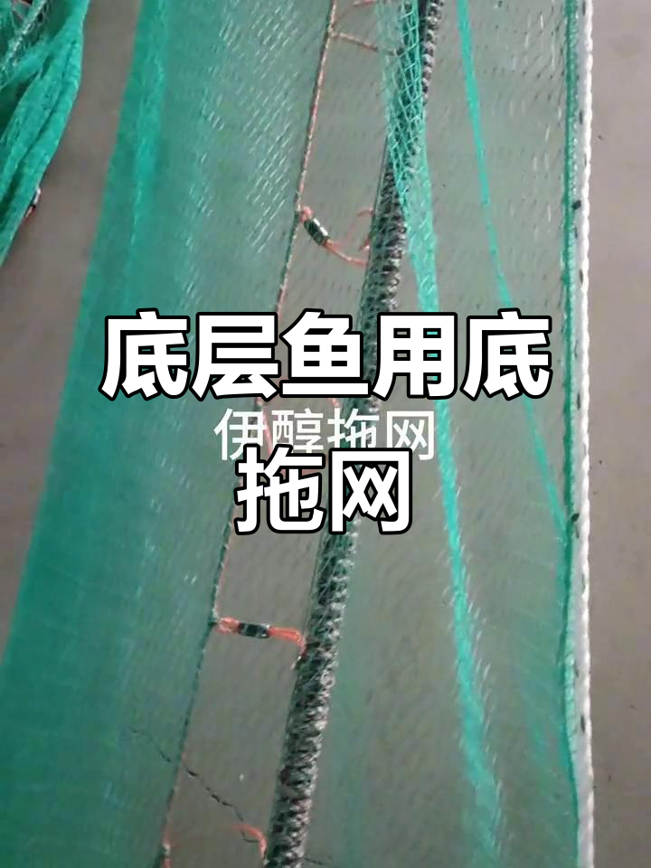 底层鱼虾蟹专用底拖网，快艇冲锋舟渔船必备