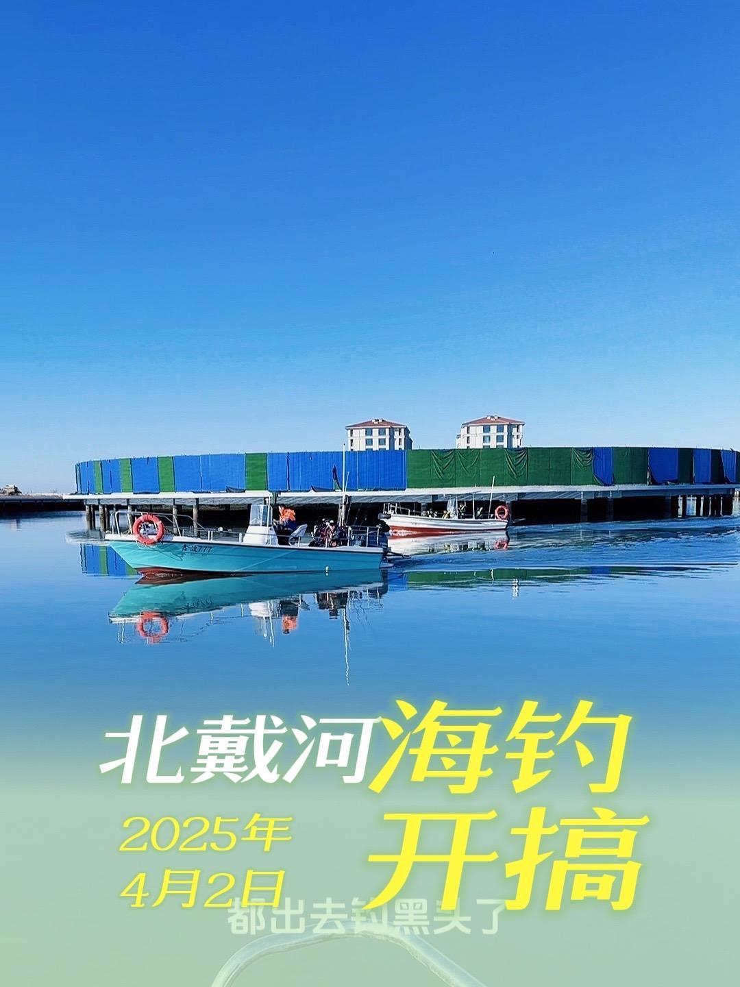 北戴河海钓黑头局 北戴河海钓黑头局开搞啦,下个视频看鱼获!记得点个关注!原创视频 钓鱼 北